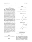 Modified therapeutic peptides with extended half-lives in vivo diagram and image