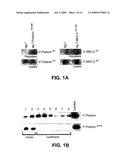 METHODS FOR IDENTIFYING COMPOUNDS THAT MODULATE PHB DOMAIN PROTEIN ACTIVITY AND COMPOSITIONS THEREOF diagram and image