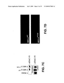 METHODS FOR IDENTIFYING COMPOUNDS THAT MODULATE PHB DOMAIN PROTEIN ACTIVITY AND COMPOSITIONS THEREOF diagram and image