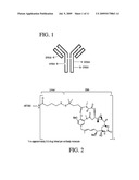 AGENTS TARGETING CD138 AND USES THEREOF diagram and image