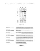 METHOD FOR DEMONSTRATING PRESENCE OR ABSENCE OF MARKERS ASSOCIATED WITH THE PRESENCE AND/OR THE CHEMOSENSITIVITY OF TUMORS diagram and image
