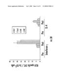 USE OF IMMATURE DENDRITIC CELLS TO SILENCE ANTIGEN SPECIFIC CD8+ T CELL FUNCTION diagram and image