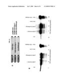 METHODS FOR PACKAGING PROPAGATION-DEFECTIVE VESICULAR STOMATITIS VIRUS VECTORS diagram and image