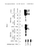 METHODS FOR PACKAGING PROPAGATION-DEFECTIVE VESICULAR STOMATITIS VIRUS VECTORS diagram and image