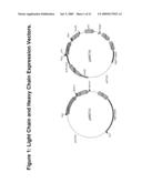 HUMANIZED ANTI-AMYLOID BETA ANTIBODIES diagram and image