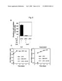 Modified Human Hepatitis C Virus Genomic RNA That can be Autonomously Replicated diagram and image