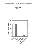 Modified Human Hepatitis C Virus Genomic RNA That can be Autonomously Replicated diagram and image