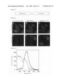 FLUORESCENT PROTEIN diagram and image