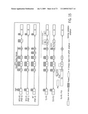 NOVEL NUCLEOTIDE AND AMINO ACID SEQUENCES, AND ASSAYS AND METHODS OF USE THEREOF FOR DIAGNOSIS diagram and image