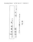 NOVEL NUCLEOTIDE AND AMINO ACID SEQUENCES, AND ASSAYS AND METHODS OF USE THEREOF FOR DIAGNOSIS diagram and image