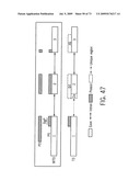 NOVEL NUCLEOTIDE AND AMINO ACID SEQUENCES, AND ASSAYS AND METHODS OF USE THEREOF FOR DIAGNOSIS diagram and image