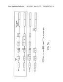 NOVEL NUCLEOTIDE AND AMINO ACID SEQUENCES, AND ASSAYS AND METHODS OF USE THEREOF FOR DIAGNOSIS diagram and image