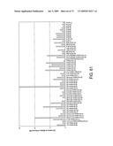 NOVEL NUCLEOTIDE AND AMINO ACID SEQUENCES, AND ASSAYS AND METHODS OF USE THEREOF FOR DIAGNOSIS diagram and image