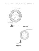 Immunoliposome-Nucleic Acid Amplification (ILNAA) Assay diagram and image