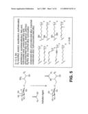 SOLVENTS FOR MUTANT ENDOGLYCOCERAMIDASES WITH SYNTHETIC ACTIVITY diagram and image