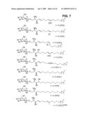 SOLVENTS FOR MUTANT ENDOGLYCOCERAMIDASES WITH SYNTHETIC ACTIVITY diagram and image