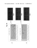 High density peptide arrays containing kinase or phosphatase substrates diagram and image