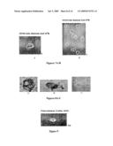 Betulinol derivatives as anti-cancer agents diagram and image