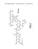 METHODS AND COMPOSITIONS FOR DETECTING PROMOTER ACTIVITY AND EXPRESSING FUSION PROTEINS diagram and image