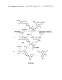 METHODS AND COMPOSITIONS FOR DETECTING PROMOTER ACTIVITY AND EXPRESSING FUSION PROTEINS diagram and image