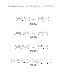 METHODS AND COMPOSITIONS FOR DETECTING PROMOTER ACTIVITY AND EXPRESSING FUSION PROTEINS diagram and image