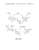 METHODS AND COMPOSITIONS FOR DETECTING PROMOTER ACTIVITY AND EXPRESSING FUSION PROTEINS diagram and image