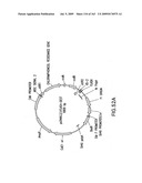 METHODS AND COMPOSITIONS FOR DETECTING PROMOTER ACTIVITY AND EXPRESSING FUSION PROTEINS diagram and image