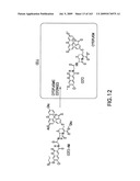 METHODS AND COMPOSITIONS FOR DETECTING PROMOTER ACTIVITY AND EXPRESSING FUSION PROTEINS diagram and image