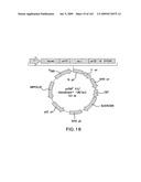 METHODS AND COMPOSITIONS FOR DETECTING PROMOTER ACTIVITY AND EXPRESSING FUSION PROTEINS diagram and image