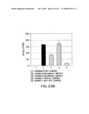 METHODS AND COMPOSITIONS FOR DETECTING PROMOTER ACTIVITY AND EXPRESSING FUSION PROTEINS diagram and image