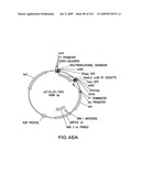 METHODS AND COMPOSITIONS FOR DETECTING PROMOTER ACTIVITY AND EXPRESSING FUSION PROTEINS diagram and image