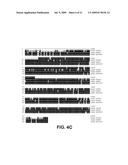 Polynucleotides encoding carotenoid and apocartenoid biosynthetic pathway enzymes in coffee diagram and image