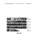 Polynucleotides encoding carotenoid and apocartenoid biosynthetic pathway enzymes in coffee diagram and image