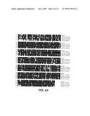 Polynucleotides encoding carotenoid and apocartenoid biosynthetic pathway enzymes in coffee diagram and image