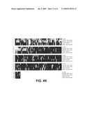 Polynucleotides encoding carotenoid and apocartenoid biosynthetic pathway enzymes in coffee diagram and image