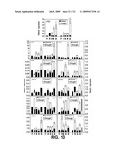 Polynucleotides encoding carotenoid and apocartenoid biosynthetic pathway enzymes in coffee diagram and image