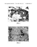 Carbohydrate-gypsum composite diagram and image