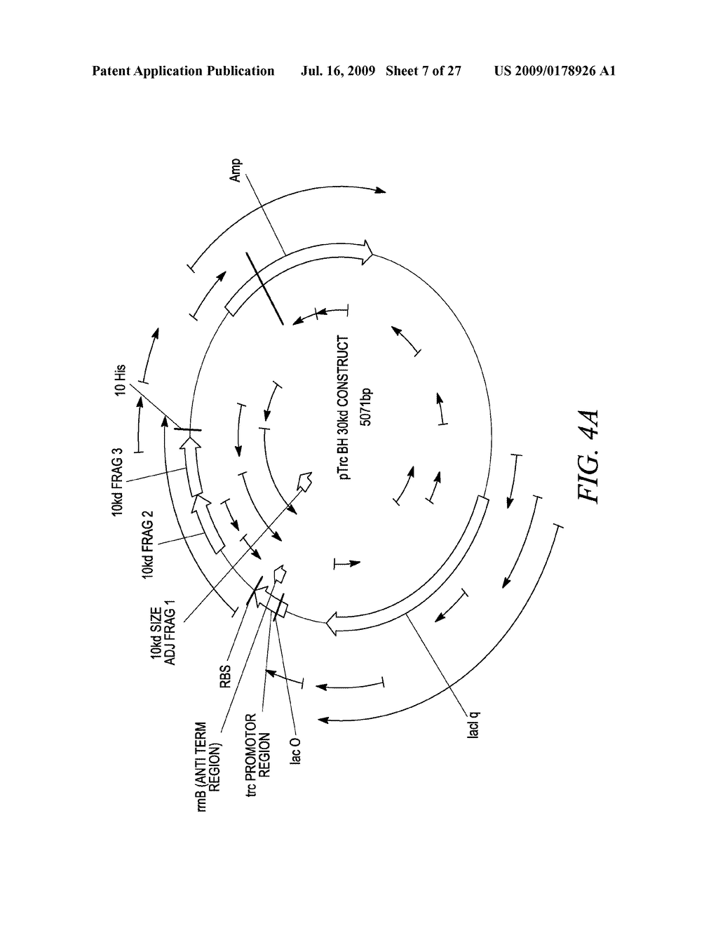 Sharply Resolving Labeled Protein Molecular Weight Standards - diagram, schematic, and image 08