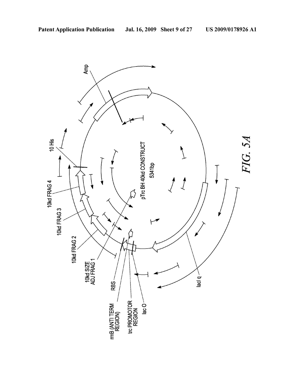 Sharply Resolving Labeled Protein Molecular Weight Standards - diagram, schematic, and image 10