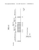 Mobile Communication System and Mobile Terminal diagram and image