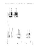 Regulation of S6 Kinsase Protein Activity and Related Methods diagram and image