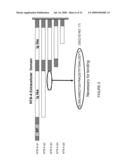 ANTIBODIES TO NTB-A diagram and image