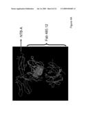 ANTIBODIES TO NTB-A diagram and image