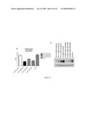 ANTIBODIES TO NTB-A diagram and image