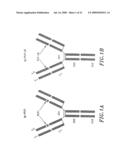 Compounds, Compositions and Methods for the Endocytic Presentation of Immunosuppressive Factors diagram and image