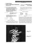 B-CELL EPITOPE PEPTIDES OF HSP 65, NOVEL AMINO ACID SEQUENCES, DNA ENCODING THE AMINO ACID SEQUENCES OF SAID PEPTIDES, ANTIBODIES DIRECTED AGAINST SAID PEPTIDES AND DIFFERENT USES THEREOF IN THE TREATMENT OF INFLAMMATORY AND AUTOIMMUNE DISEASES diagram and image