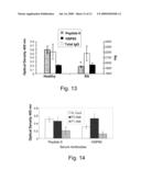 B-CELL EPITOPE PEPTIDES OF HSP 65, NOVEL AMINO ACID SEQUENCES, DNA ENCODING THE AMINO ACID SEQUENCES OF SAID PEPTIDES, ANTIBODIES DIRECTED AGAINST SAID PEPTIDES AND DIFFERENT USES THEREOF IN THE TREATMENT OF INFLAMMATORY AND AUTOIMMUNE DISEASES diagram and image