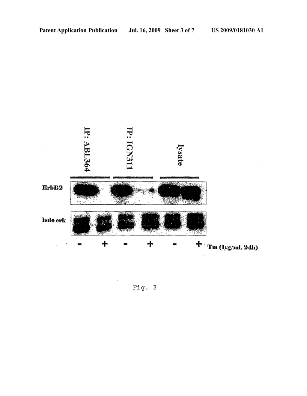 USE OF A PREPARATION BASED ON AN ANTIBODY DIRECTED AGAINST A TUMOR-ASSOCIATED GLYCOSYLATION - diagram, schematic, and image 04