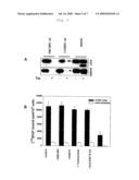 USE OF A PREPARATION BASED ON AN ANTIBODY DIRECTED AGAINST A TUMOR-ASSOCIATED GLYCOSYLATION diagram and image