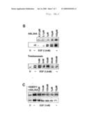 USE OF A PREPARATION BASED ON AN ANTIBODY DIRECTED AGAINST A TUMOR-ASSOCIATED GLYCOSYLATION diagram and image